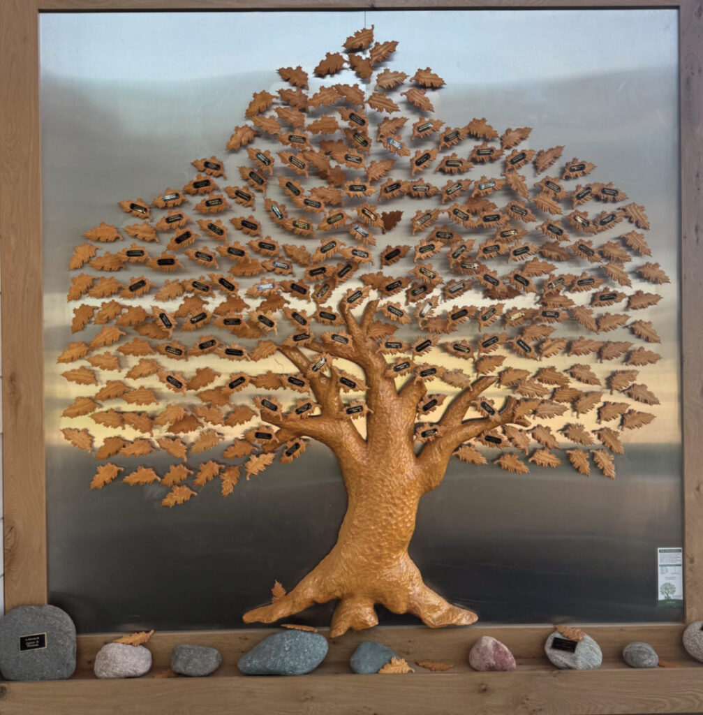Picture of the “Tree of Remembrance.”